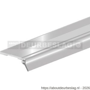 Ellen slijtdorpelprofiel ANB-6 ongeboord 300 cm - R51010311 - afbeelding 1