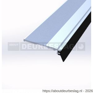 Ellen slijtdorpel aluminium Threshold Seal N7 100 cm - R51010350 - afbeelding 1