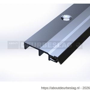 Ellen slijtdorpel profiel Threshold Seal R5 100 cm - R51010347 - afbeelding 1