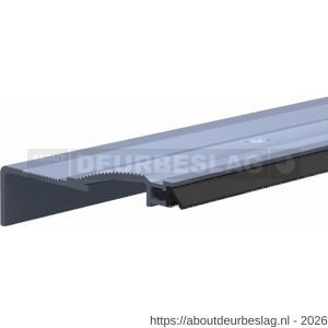Ellen slijtdorpel profiel Threshold Seal R6 100 cm - R51010348 - afbeelding 1