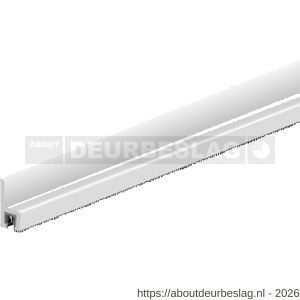 Ellen dorpel tochtprofiel met borstel aluminium IBS-50 100 cm - R51010112 - afbeelding 1