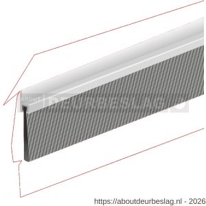 Ellen dorpel tochtprofiel met borstel aluminium IBS-60 100 cm - R51010115 - afbeelding 1