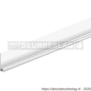 Ellen dorpel tochtprofiel met borstel aluminium IBS-70 100 cm - R51010118 - afbeelding 1