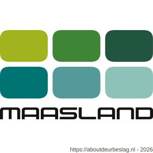 Maasland RSKP10 losse resetsleutel voor noodschakelaar 2002SG per 10 - R11300893 - afbeelding 2