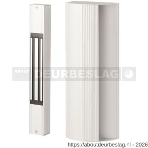 Maasland 17SGMDT elektro magneet opbouw 12-24 V DC spoel- en deurstand signalering timer 270 kg - R11300604 - afbeelding 1
