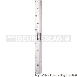 Maasland AP13U elektrische deuropener arbeidsstroom lange vlakke sluitplaat 50 cm 10-24 V AC-DC - R11300927 - afbeelding 1