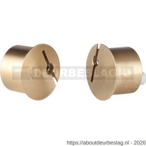 Maasland DMC121 deurstandsignalering wissel messing 21 - R11301175 - afbeelding 1