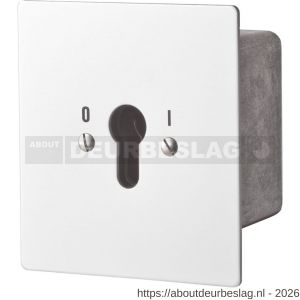 Maasland FM1R sleutelschakelaar inbouw continu 1 - R11301778 - afbeelding 2