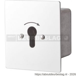 Maasland FM1T sleutelschakelaar inbouw puls 1 - R11301776 - afbeelding 2