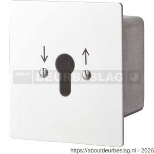 Maasland FM2R sleutelschakelaar inbouw continu 2 - R11301779 - afbeelding 1