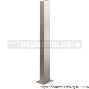 Maasland Z-RVS600 toeganscontrole zuil roestvast staal 600x120x80 - R11300703 - afbeelding 1