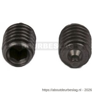 Dulimex DX QUICK M6 Quickschroef M6 voor deur- en knopkrukken RVS - A30204967 - afbeelding 1