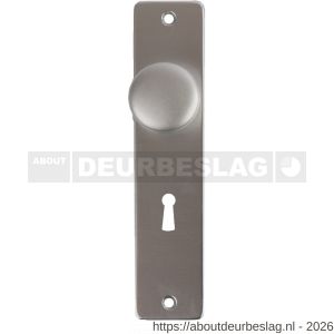 Ami KNOP BB F1 knopschild schild type 180/41 RH met knop 160/40 voor bonte baard SL 56 F1 finish - A30204615 - afbeelding 1