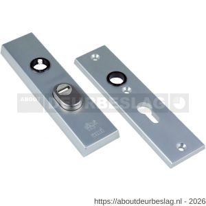 Ami VHS 55 KRH AF veiligheidskortschild recht type 193/15 PC 55 kerntrekbeveiliging SKG*** F1 finish - A30204649 - afbeelding 1