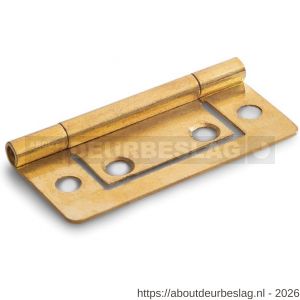 Dulimex DX LDS 501B louvredeurscharnier 50x24 mm staal vermessingd - A30203737 - afbeelding 1