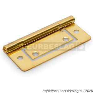 Dulimex DX LDS 751B louvredeurscharnier 75x35 mm staal vermessingd - A30204066 - afbeelding 1