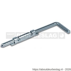 IBFM GRG 300 BV grondgrendel diameter 16 mm 300 mm staal verzinkt - A30204922 - afbeelding 1