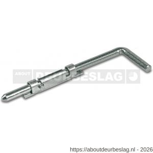 IBFM GRG 300 SS grondgrendel diameter 16 mm 300 mm RVS - A30204924 - afbeelding 1