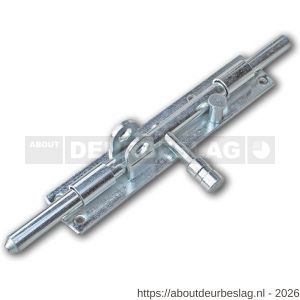 IBFM HSG 250V hangslotgrendel verticaal diameter 12 mm 250 mm staal verzinkt - A30204927 - afbeelding 1