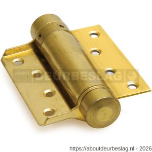 IBFM DVE 075/29 PB Bommer scharnier enkelwerkend 29/75 mm deurdikte 18-25 mm staal vermessingd - A30201624 - afbeelding 1