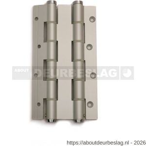 Justor DVD 180/30 SE deurveerscharnier dubbelwerkend 180/30 mm aluminium zilvergrijs - A30204171 - afbeelding 1