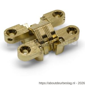 Soss MSO 314 PB onzichtbaar scharnier 13x38 mm deurdikte 14 mm zamac vermessingd - A30201945 - afbeelding 1