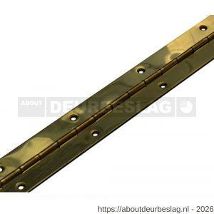 Dulimex DX PI 320500PB K pianoscharnier 0,7x32x480 mm staal vermessingd met DX kopkaart - A30201910 - afbeelding 1