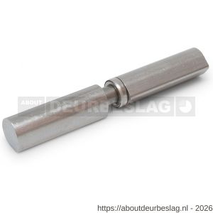 IBFM HPL WK SS 150 aanlaspaumelle RVS pen en RVS kogellager ring platte kop 150x22 mm RVS AISI 304 - A30203671 - afbeelding 1