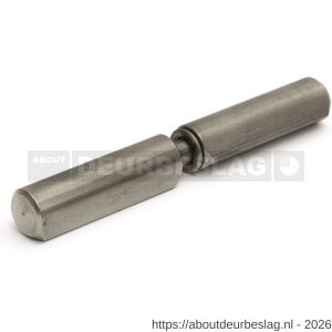 IBFM HPL WR SS 040 aanlaspaumelle RVS pen en RVS ring 40x10 mm RVS AISI 304 - A30201839 - afbeelding 1