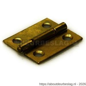 Dulimex DX H161-20152101 smalscharnier 20x15 mm vaste messing pen staal vermessingd - A30201685 - afbeelding 1