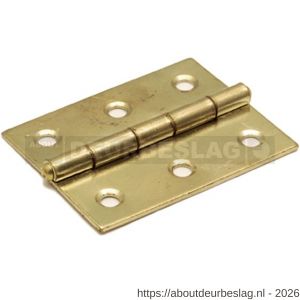 Dulimex DX H161-40322101 smalscharnier 40x32 mm vaste messing pen staal vermessingd - A30201688 - afbeelding 1