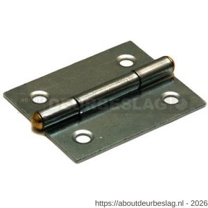 Dulimex DX H161-25222105 smalscharnier 25x22 mm vaste messing pen staal verzinkt - A30201691 - afbeelding 1