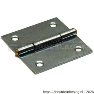 Dulimex DX H161-40402105 smalscharnier 40x40 mm vaste messing pen staal verzinkt - A30201694 - afbeelding 1