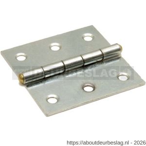 Dulimex DX H161-50502105 smalscharnier 50x50 mm vaste messing pen staal verzinkt - A30201696 - afbeelding 1