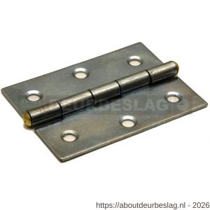 Dulimex DX H161-50392105 smalscharnier 50x39 mm vaste messing pen staal verzinkt - A30204062 - afbeelding 1