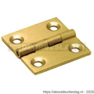 Dulimex DX H161-25252102 smalscharnier rechte hoeken 25x25 mm vaste messing pen massief messing - A30201709 - afbeelding 1
