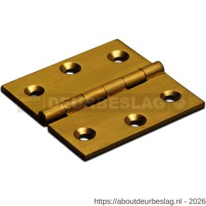 Dulimex DX H161-40402102 smalscharnier rechte hoeken 40x40 mm vaste messing pen massief messing - A30201714 - afbeelding 1