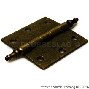 Dulimex DX H163-76761001 vaasknopscharnier 76x76 mm losse vermessingde pen staal vermessingd - A30201724 - afbeelding 1