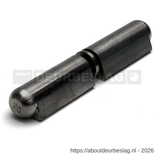 Dulimex DX HPL-WR SS 040 aanlaspaumelle RVS pin en RVS ring 40x8 mm RVS AISI 304 - A30201837 - afbeelding 1