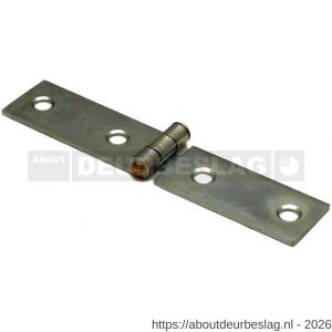 Dulimex DX H166-20801105 klepscharnier 20x80 mm vaste stalen pen staal verzinkt - A30201719 - afbeelding 1