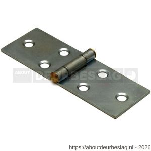 Dulimex DX H166-28802105 klepscharnier 28x80 mm vaste messing pen staal verzinkt - A30201720 - afbeelding 1