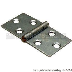 Dulimex DX H166-40802105 klepscharnier 40x80 mm vaste messing pen staal verzinkt - A30201721 - afbeelding 1