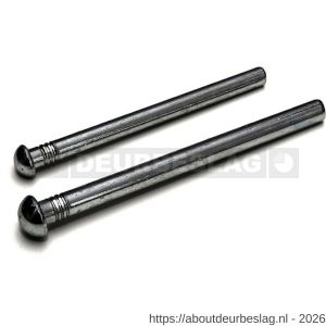 Dulimex DX H1PEN MES.76 scharnierpen voor scharnier 76x76 mm staal verzinkt - A30201783 - afbeelding 1