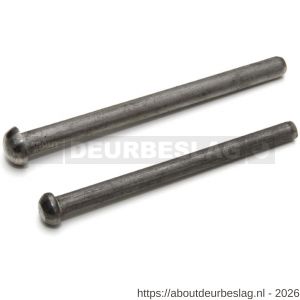 Dulimex DX H1PEN RVS.76 scharnierpen voor scharnier 76x76 mm RVS - A30201787 - afbeelding 1