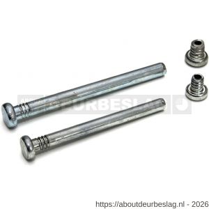 Dulimex DX H2PEN VZ.76 scharnierpen met dummy voor lager scharnier 76x76 mm messing staal verzinkt - A30201790 - afbeelding 1