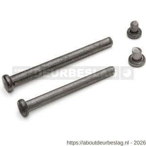 Dulimex DX H3PEN RVS.89 scharnierpen met dummy voor 3 mm lager scharnier 89x89 mm RVS - A30201789 - afbeelding 1