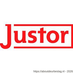 Justor HPL WR V 1200 aanlaspaumelle met veer en ring 120x18 mm deuren tot 20 kg blank staal - A30204433 - afbeelding 3