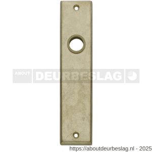 Intersteel 2568 renovatie kortschild rechthoekig 181x41x7 mm blind messing getrommeld - R26002813 - afbeelding 1