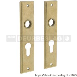 Intersteel 2568 renovatie kortschild rechthoekig 181x41x7 mm profielcilindergat 55 mm messing getrommeld - R26002816 - afbeelding 1