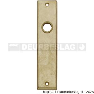 Intersteel 2568 renovatie kortschild rechthoekig 181x41x7 mm profielcilindergat 72 mm messing getrommeld - R26002817 - afbeelding 1